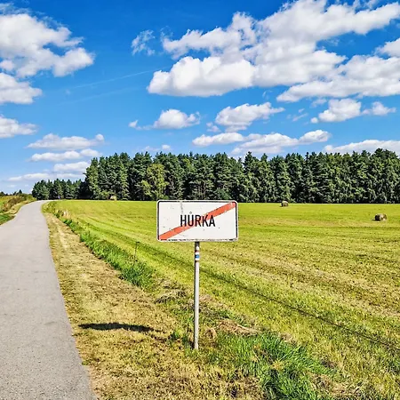 Comfort In By Interhome Apartment Horní Planá